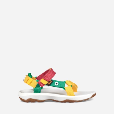 Teva Kids Hurricane Xlt 2 - Hungry Caterpillar Hiking Sandals Sale NZ (IKYDE-1095)